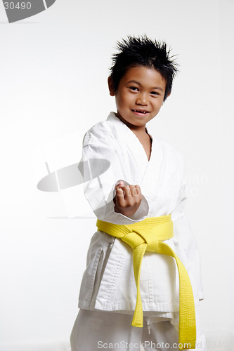 Image of Karate Stance