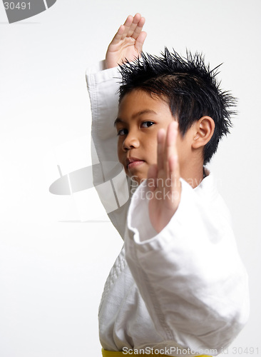 Image of Kid in fighting stance