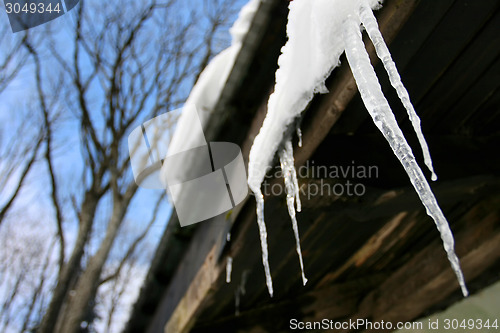 Image of Icicles hanging on roof