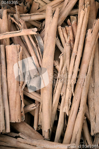 Image of Pile of twigs for heating