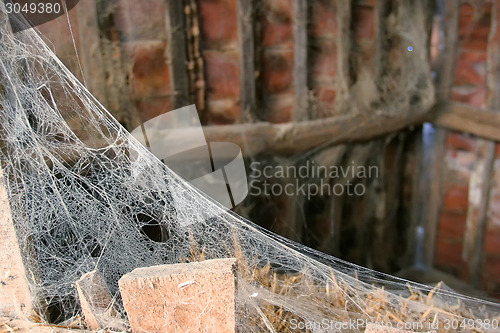 Image of Cobweb in deserted cottage