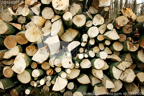 Image of Pile of firewood