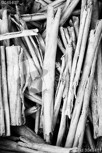 Image of Pile of twigs b&w