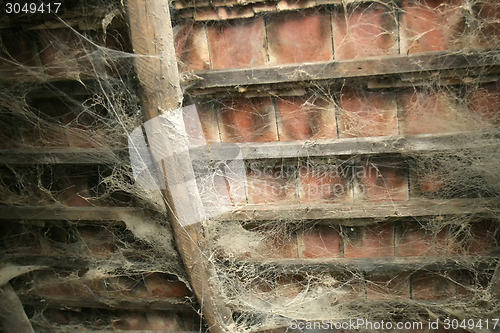 Image of Cobweb in old roof