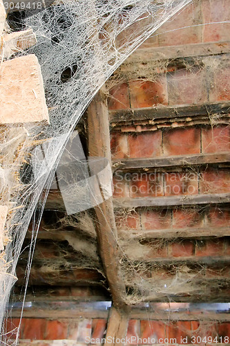 Image of Cobweb in roof