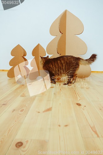 Image of Christmas Tree Made Of Cardboard. New Year