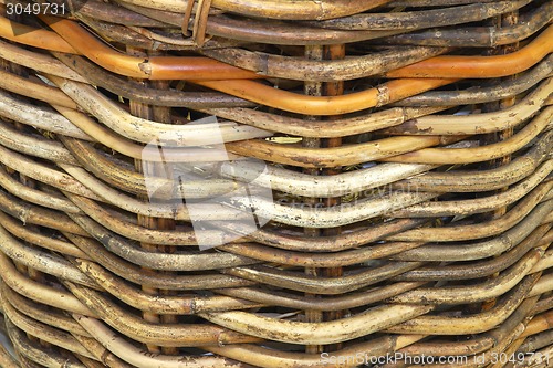 Image of Rattan pattern