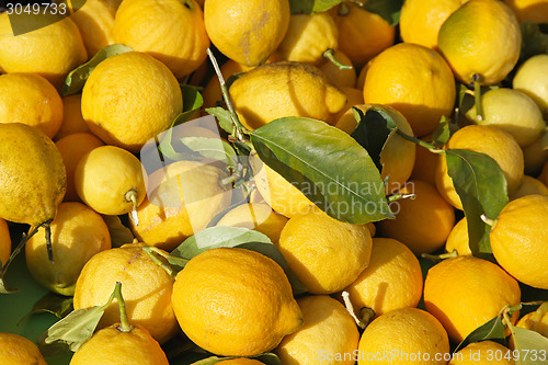 Image of Lemons
