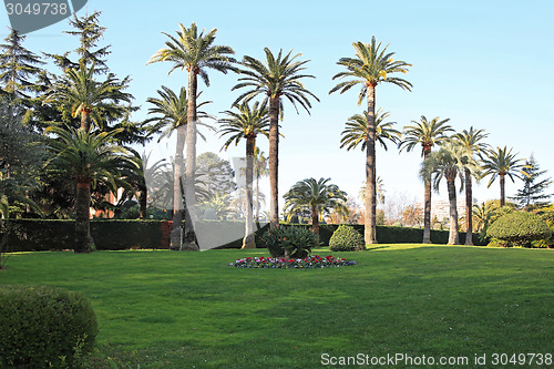 Image of Mediterranean garden