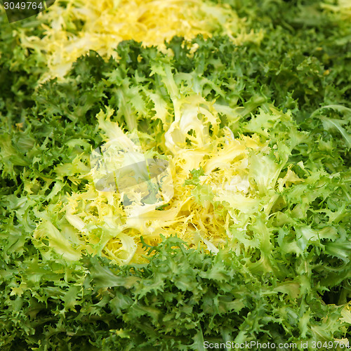 Image of Salad