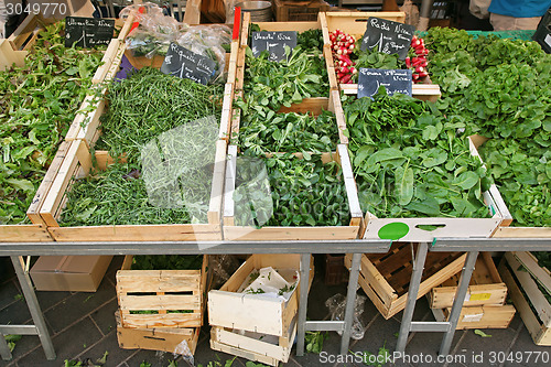 Image of Green vegetables