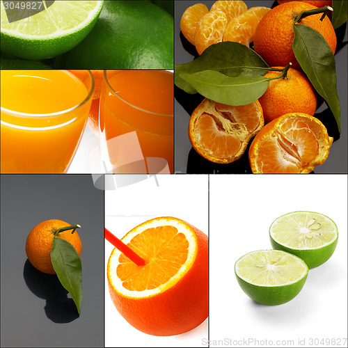 Image of citrus fruits collage