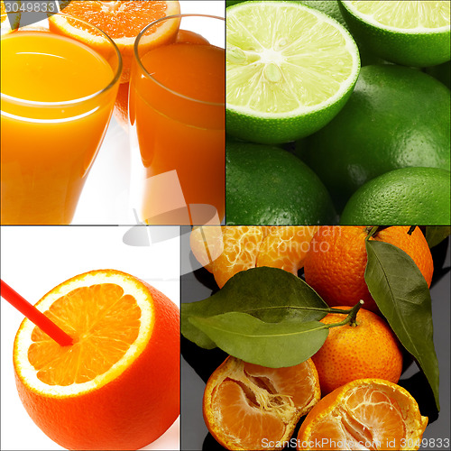 Image of citrus fruits collage