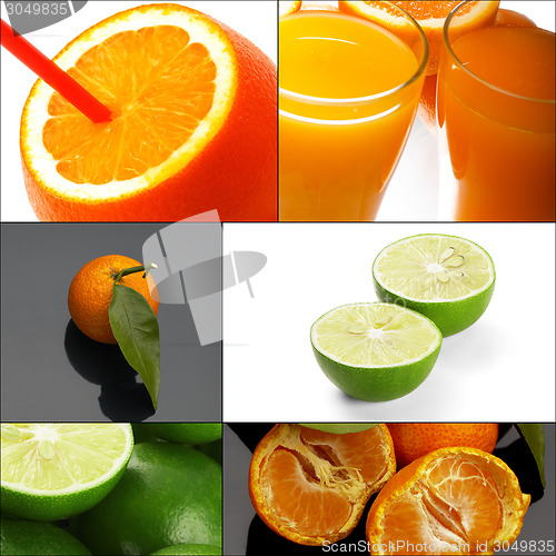 Image of citrus fruits collage