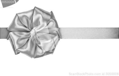 Image of Silver ribbon