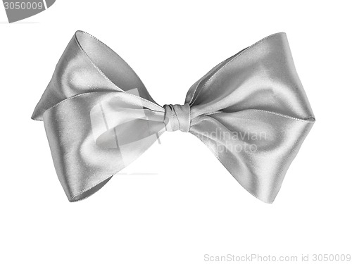 Image of Silver ribbon