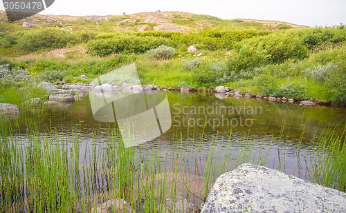 Image of polar small river in the tundra.