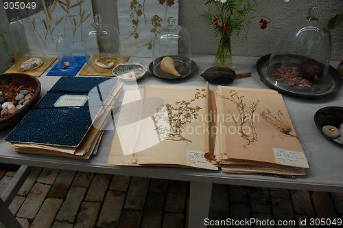 Image of Herbarium