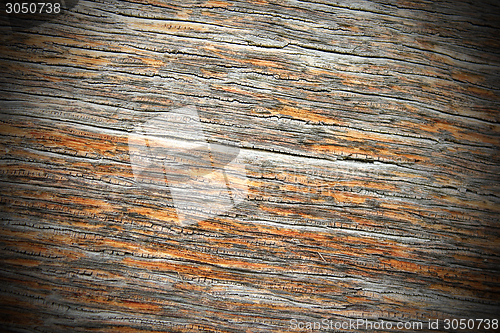 Image of textured ancient oak wood 