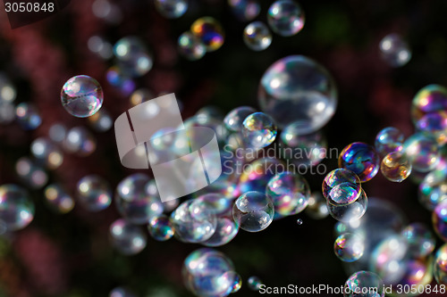 Image of Soap bubbles