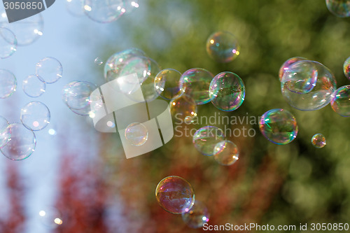 Image of Soap bubbles