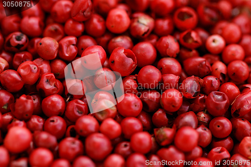 Image of Pink Pepper