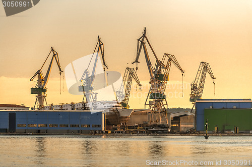 Image of Industrial cargo cranes in the dock