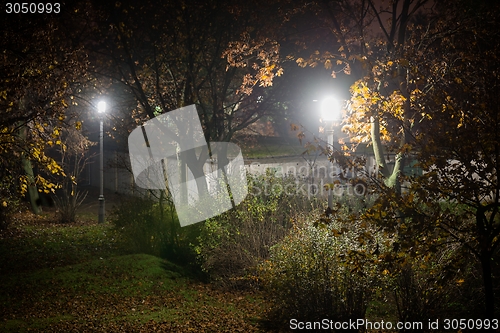 Image of Creepy park at night with illumination