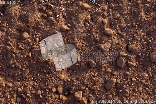 Image of Dry soil closeup before rain