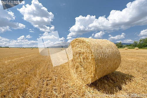 Image of Hay bails on the field