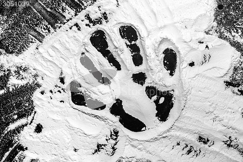 Image of Hand prints in flour