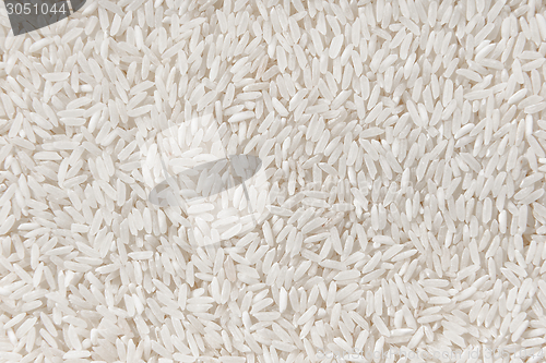 Image of White rice background