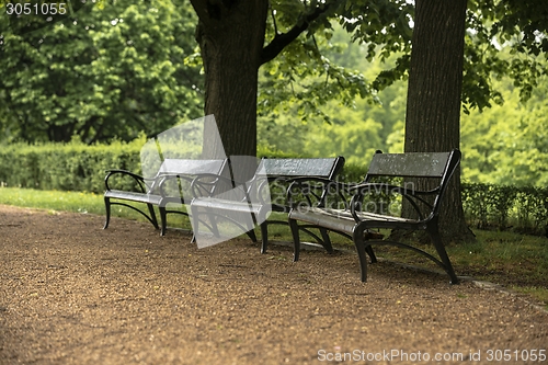 Image of Stylish bench in autumn park