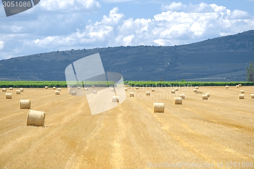 Image of Hay bails on the field