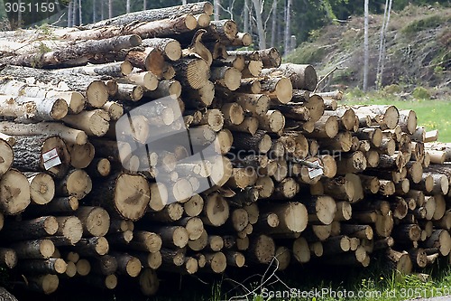 Image of timber