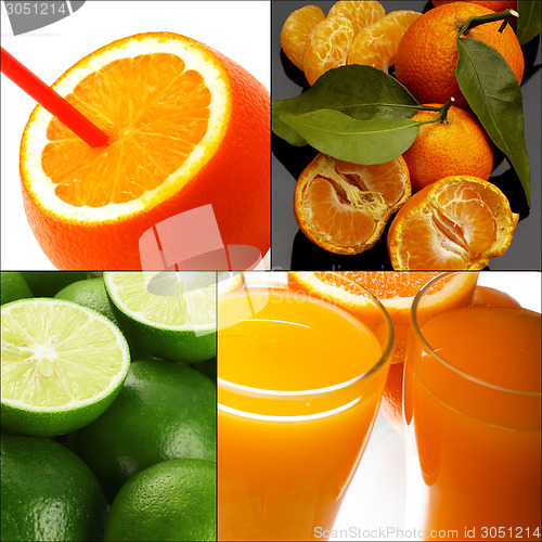 Image of citrus fruits collage