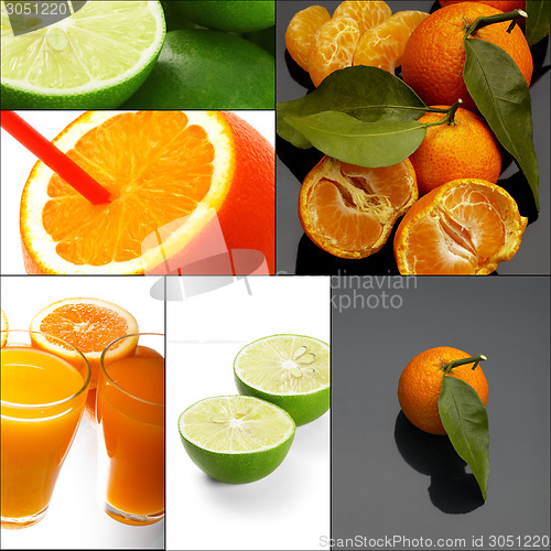 Image of citrus fruits collage