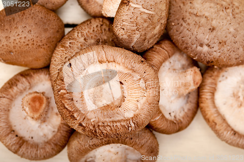 Image of shiitake mushrooms