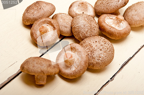 Image of shiitake mushrooms