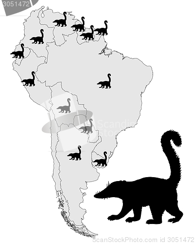 Image of Coati  range