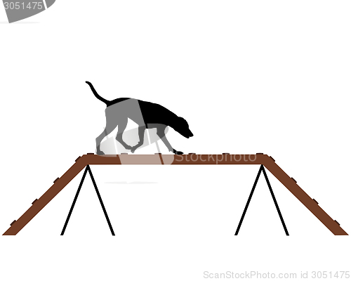 Image of Dog training