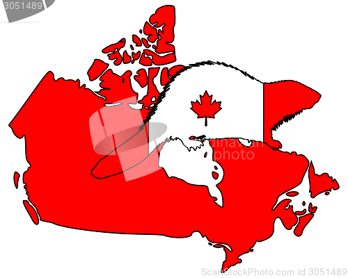 Image of Canadian Beaver