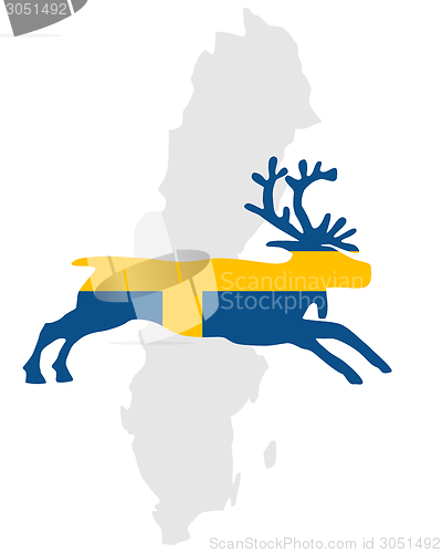 Image of Swedish reindeer