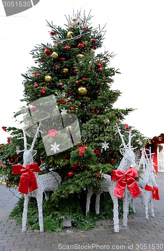 Image of Christmas tree