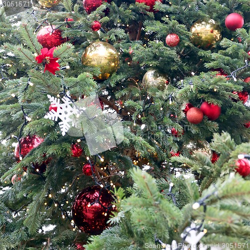Image of Christmas tree