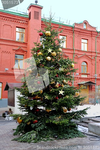 Image of Christmas tree