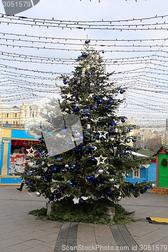 Image of Christmas tree