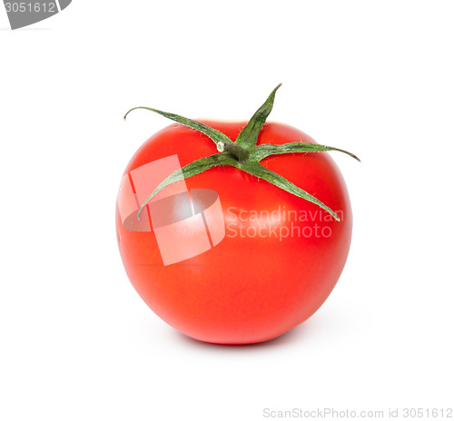 Image of One Fresh Red Tomato