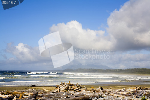 Image of tofino beach