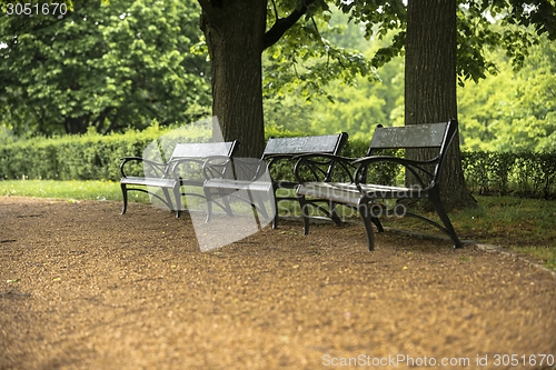 Image of Stylish bench in autumn park